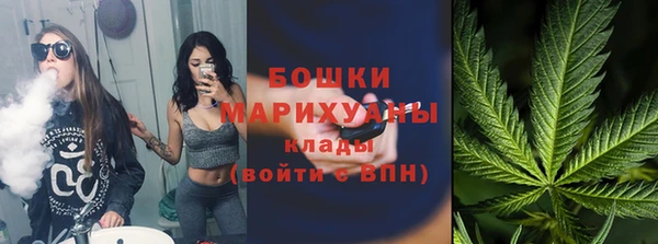 эйфоретик Липки
