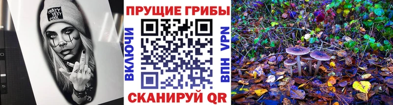 закладка  Чегем  Галлюциногенные грибы мухоморы 